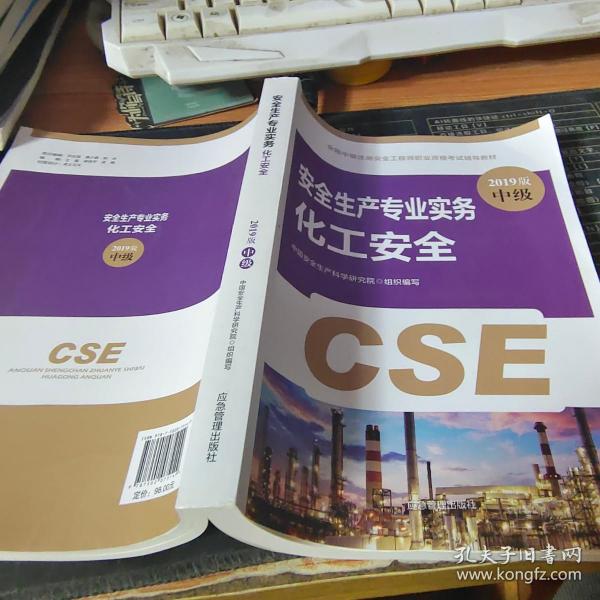 注册安全工程师2019教材化工安全专业实务全国中级注册安全工程师职业资格考试辅导教材2019版