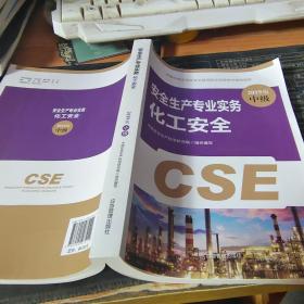 注册安全工程师2019教材化工安全专业实务全国中级注册安全工程师职业资格考试辅导教材2019版