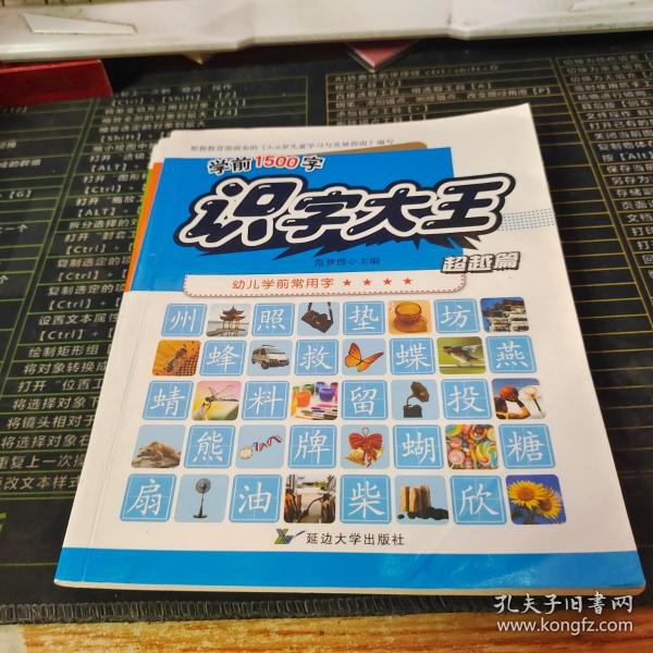 3-6岁识字大王幼儿学前常用字学前1500字（全4册）