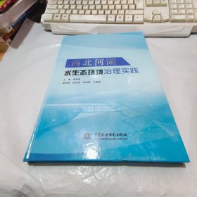 西北河湖水生态环境治理实践【磨损，见图】