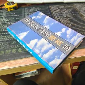 中国计算机精英志