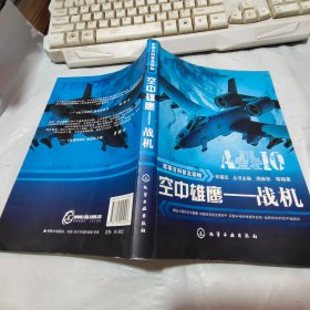 空中雄鹰：战机