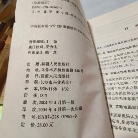 中印战争征战纪实