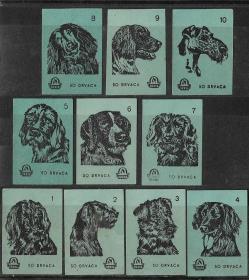 60年代苏联火柴商标标贴动物狗火花10枚老物件兴趣真品收藏八品
