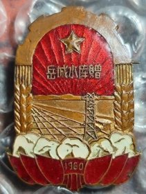 1960年河北省邯郸市磁县 岳城水库赠 老徽章老证章