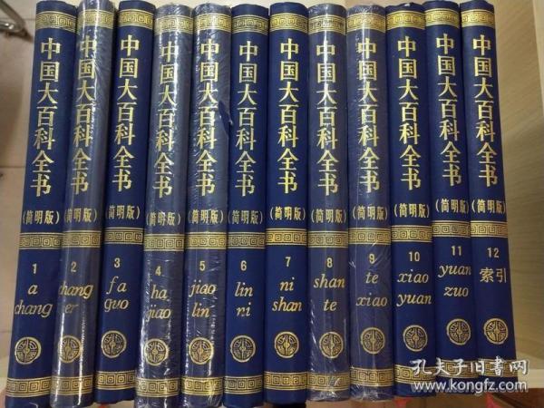 中国大百科全书 简明版 全12册 精装 彩色插图 全新正版 获奖书籍 非常非常重 包邮价