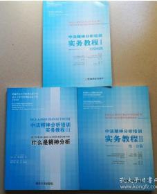 中法精神分析培训实务教程1:初初相遇 教程2:性-分裂 教程3:什么事是精神分析