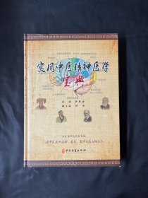 实用中医精神医学宝典