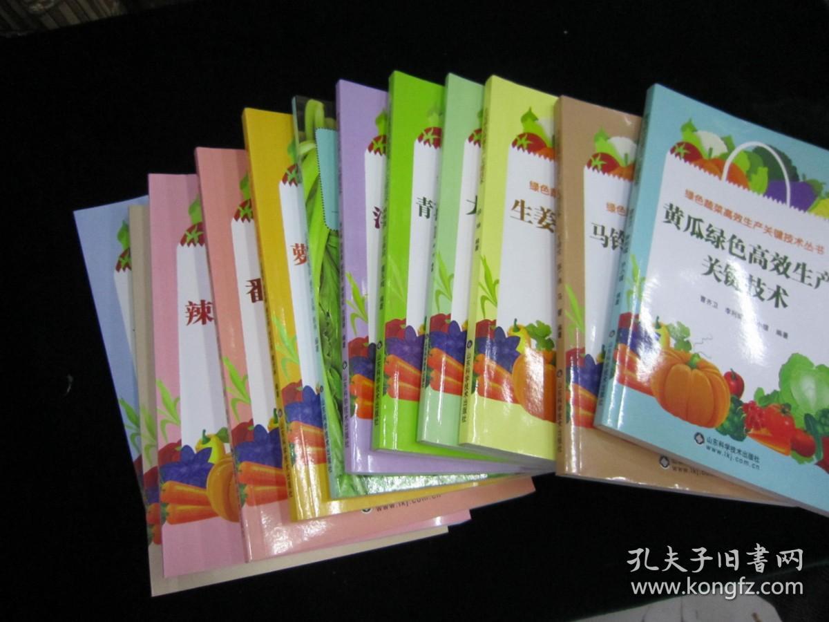 绿色蔬菜高效生产关键技术丛书【12本】