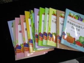 绿色蔬菜高效生产关键技术丛书【12本】