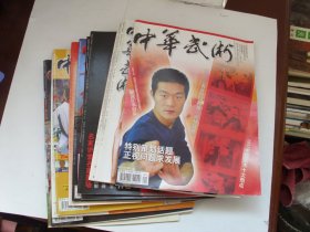 中华武术（2008年1.2.4.5.6.8.9.10.11.12；十本合售）