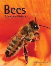 Bees: A Natural History /by O'Toole  C. Firefly Books