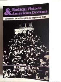 Radical Visions and American Dreams: Culture and Social Thou