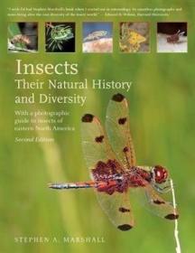 Insects: Their Natural History and Diversity