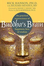 佛的大脑:幸福的神经科学实用的爱和智慧Buddha's Brain: The Practical Neuroscience of Happiness  Love  and Wisdom