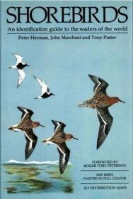 Shorebirds: An Identification Guide to the Waders of the Wor