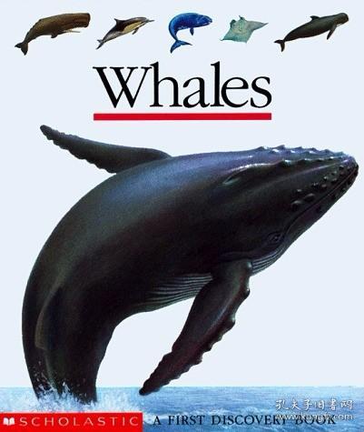 Whales (First Discovery Books)-鲸鱼（第一次发现书） /Gallima