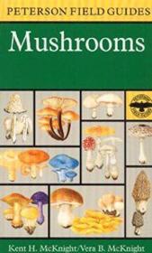 A Field Guide to Mushrooms: North America (Peterson Field Gu