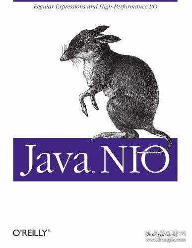 Java Nio