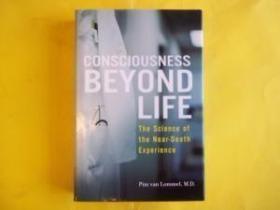 Consciousness Beyond Life: The Science of the Near-Death Exp