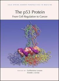 The p53 Protein: From Cell Regulation to Cancer /Cold Spring