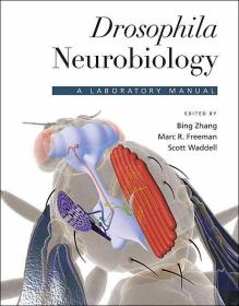 Drosophila Neurobiology: A Laboratory Manual /Cold Spring Ha