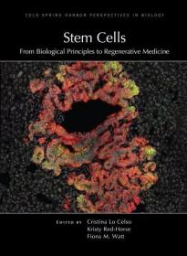 Stem Cells: From Biological Principles to Regenerative Medic