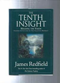 THE TENTH INSIGHT holding the vision /James Redfield warner