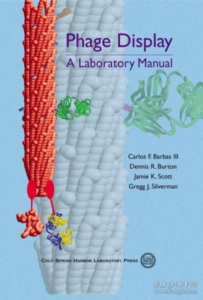Phage Display: A Laboratory Manual /Cold Spring Harbo... Col