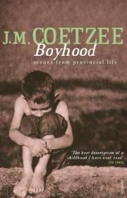 Boyhood: Scenes From Provincial Life /J. M. Coetzee Vintage