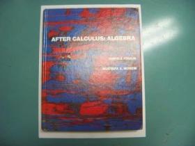 After Calculus: Algebra /David Foulis Macmillan USA