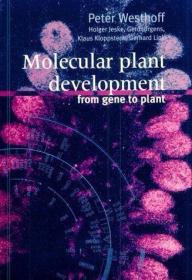 Molecular Plant Development: From Gene to Plant /Westhoff  P