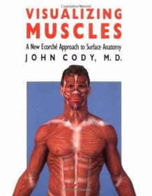 Visualizing Muscles: A New Ecorche Approach to Surface Anato