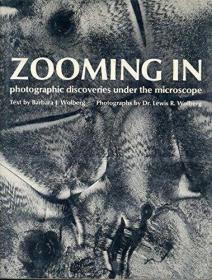 ZOOMING IN Photographic Discoveries under the Microscope /Wo