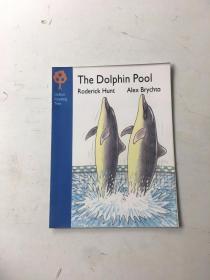 the dolphin pool