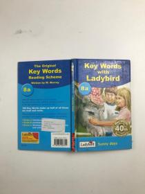 Key words with ladybird 8a