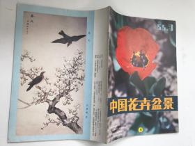 中国花卉盆景1985 3