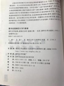 现代文学经典:症候式分析