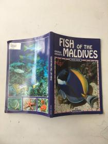 FISH OF THE MALDIVES