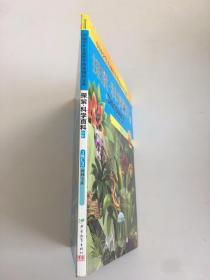 探索科学百科Discovery Education（中阶）3级C2雨林宝库