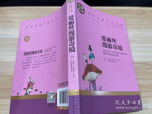 爱丽丝漫游奇境 中小学生课外阅读书籍世界经典文学名著青少年儿童文学读物故事书名家名译原汁原味读原著