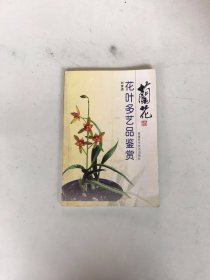 兰花花叶多艺品鉴赏