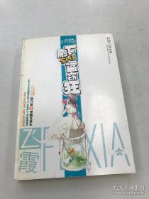 殿下SHI盜竊狂
