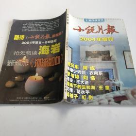 小说月报2004年增刊