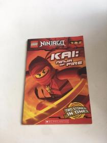 LEGO NINJAGO