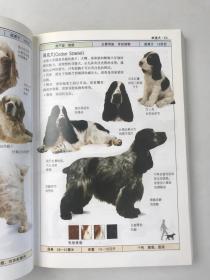 名犬 全世界300多种名犬的彩色图鉴