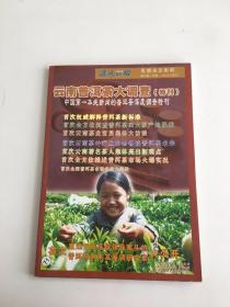 云南普洱茶大调查（特刊）