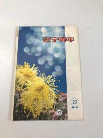 辽宁青年 1982年第22期