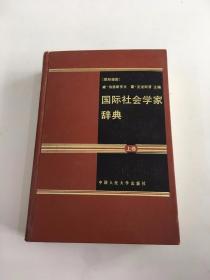 国际社会学家辞典（上卷）