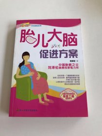 胎兒大腦促進(jìn)方案
